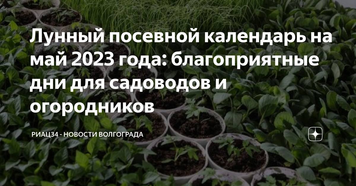 Календарь садовода 2023 лунный посевной