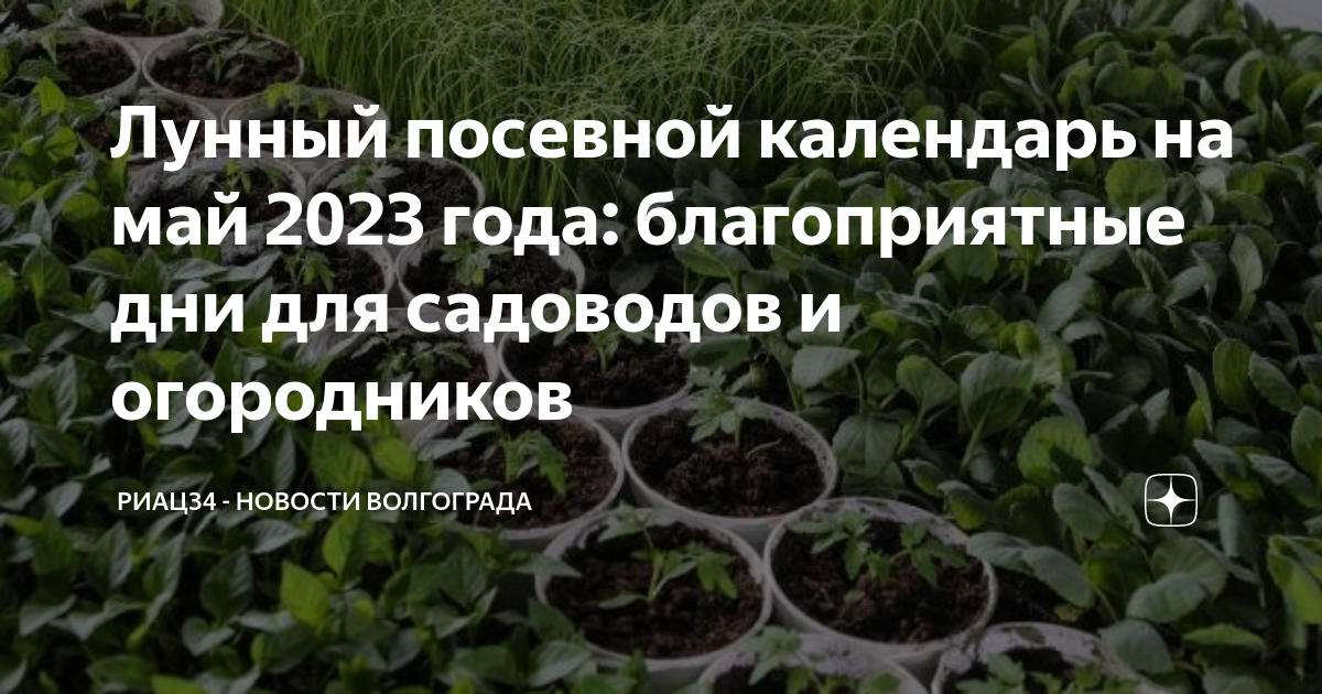 Календарь садовода 2023г