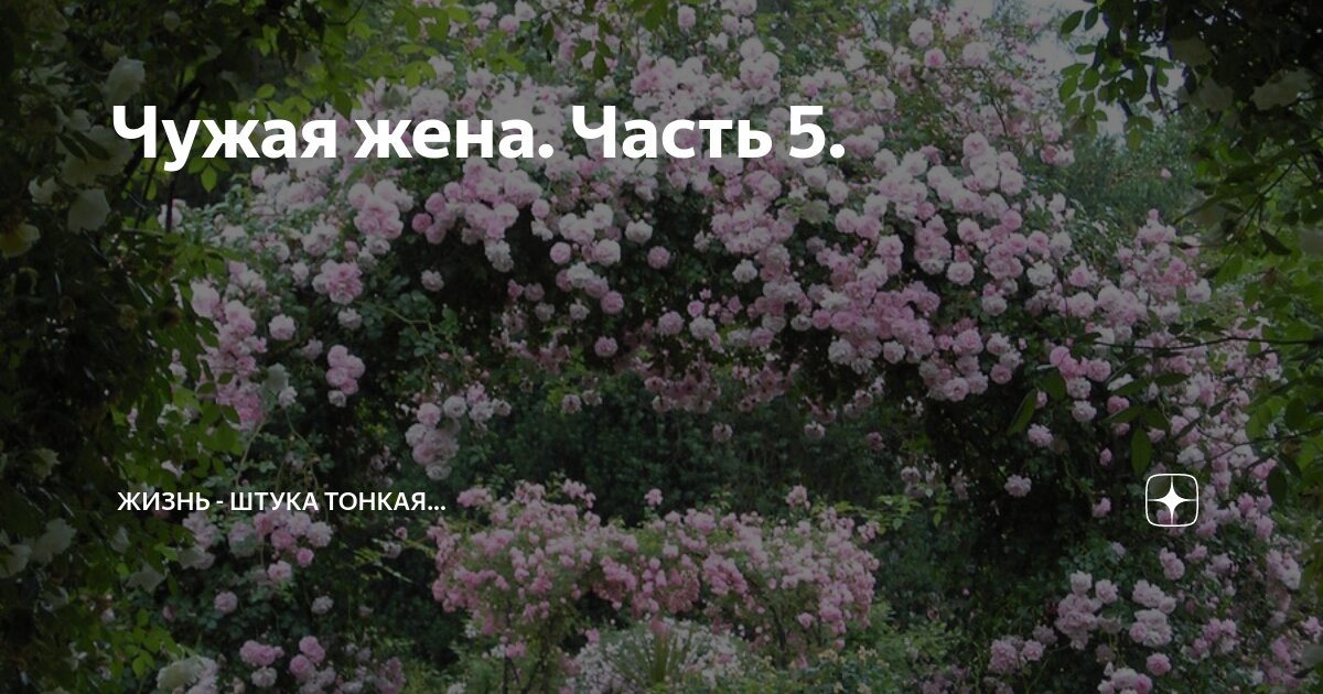 Чужая жена. Часть 5. | Жизнь - штука тонкая... Рассказы о любви, дружбе ...
