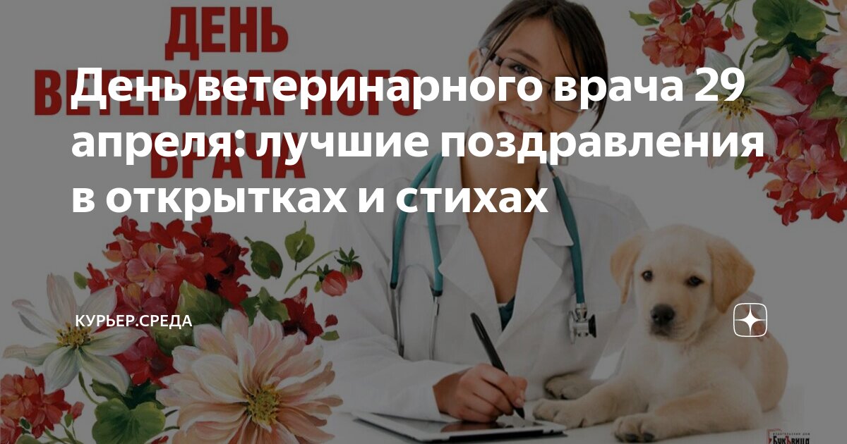 С международным днем ветеринарного врача картинки