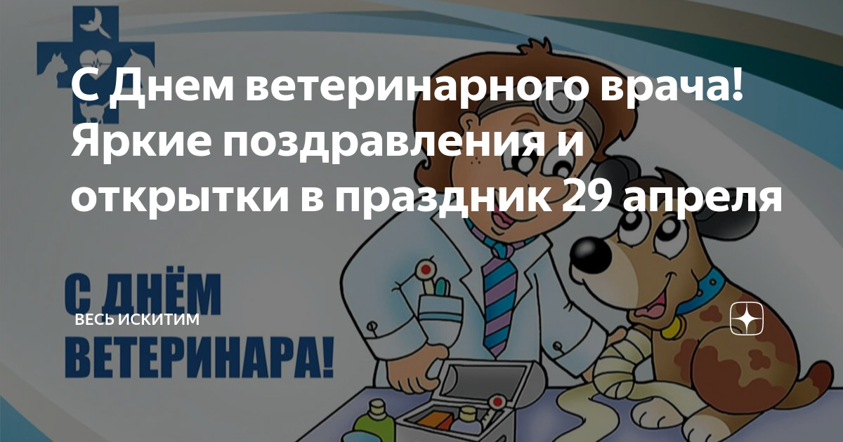 С международным днем ветеринарного врача картинки