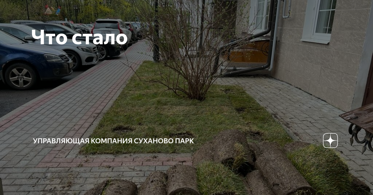 Высота фитнес клуб суханово