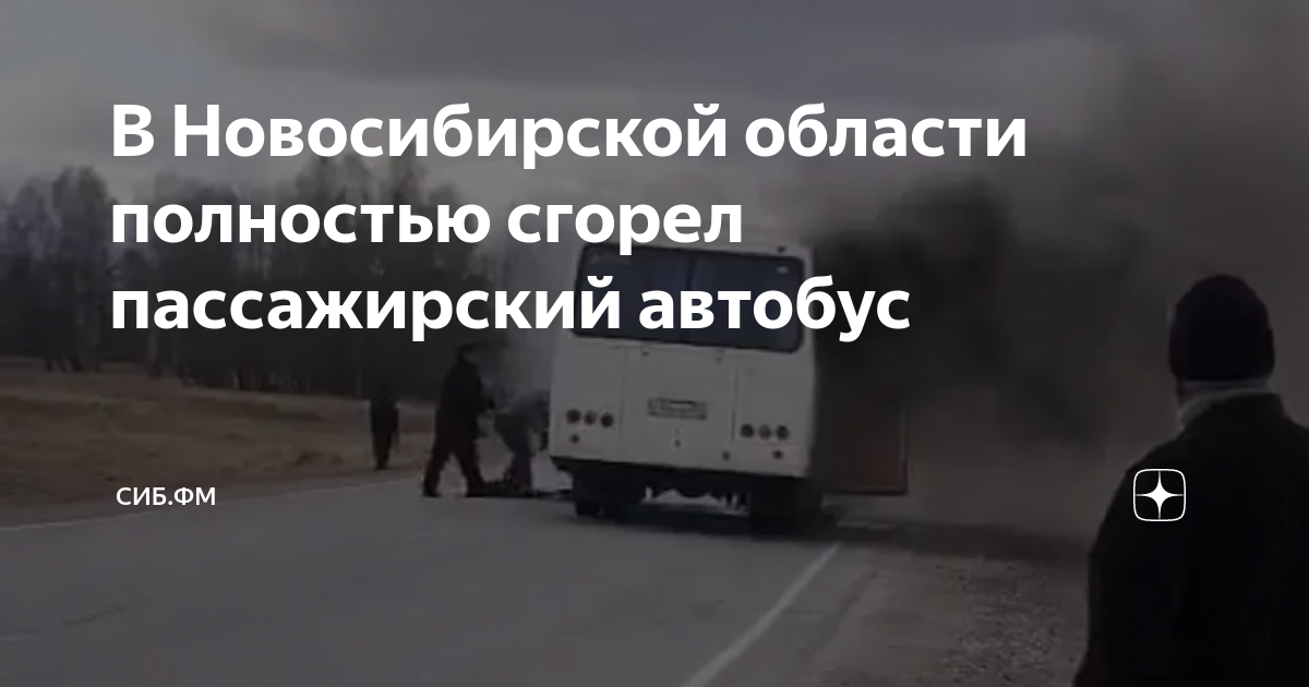 Автобус довольное новосибирск. 54. Маршрутка новосибирск довольное. Автобус довольное новосибирск. Нефаз (45), кр 579 54.