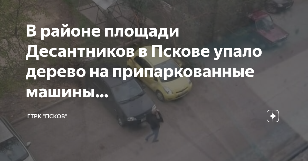 Новости псков дзен