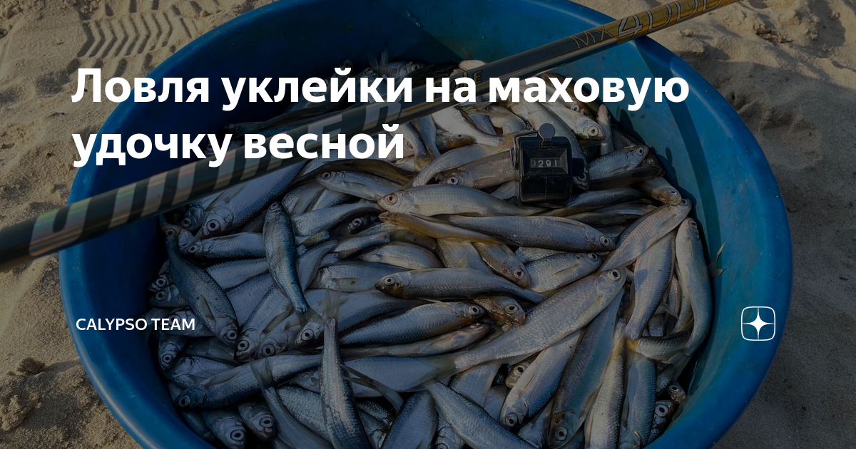 Когда можно рыбачить весной на удочку