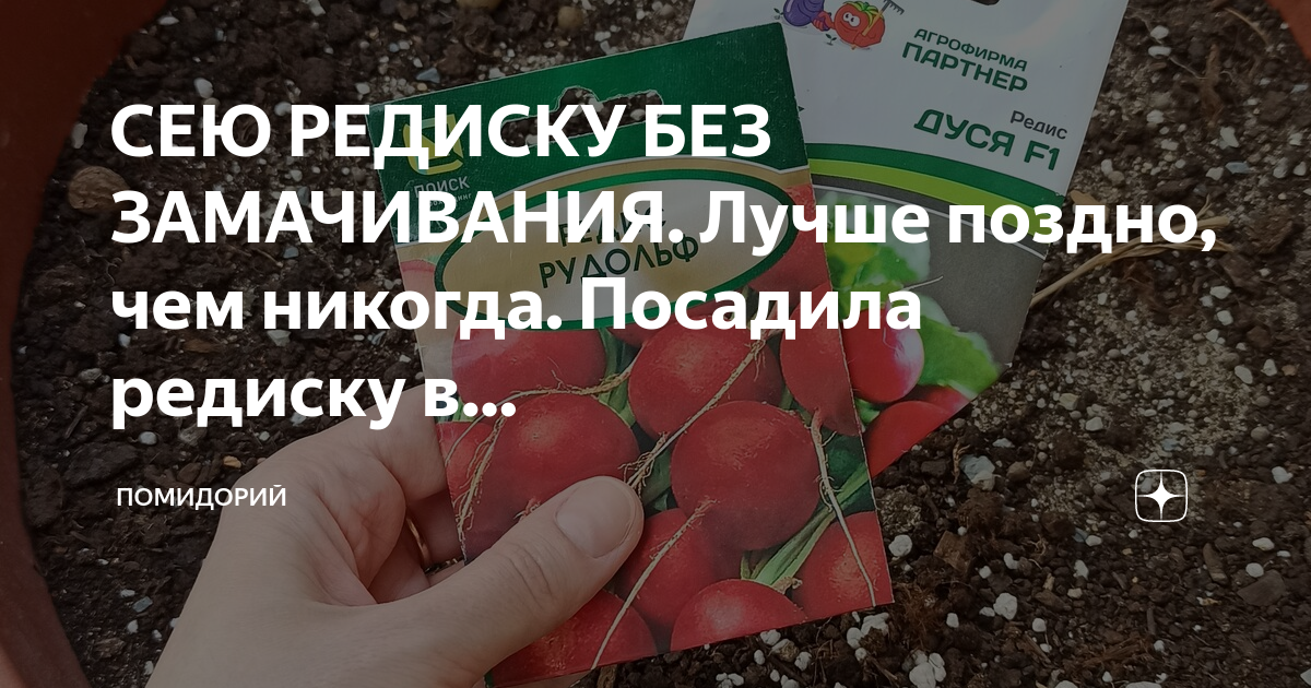 Когда сеять редис 2024. Вырастить редиску на даче из семян. Редиску сеять в марте неотапливаемую теплицу. Как удобно сажать редиску. Как садить редис схема