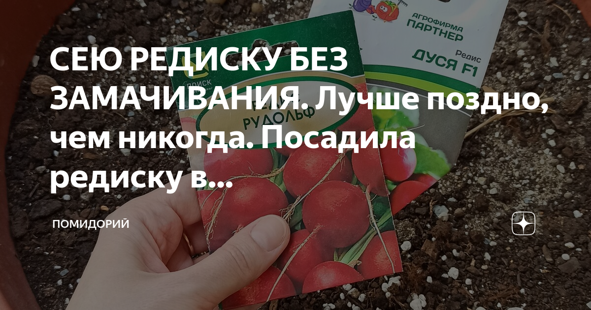 Когда сеять редис 2024. Вырастить редиску на даче из семян. Редиску сеять в марте неотапливаемую теплицу. Как удобно сажать редиску. Как садить редис схема.