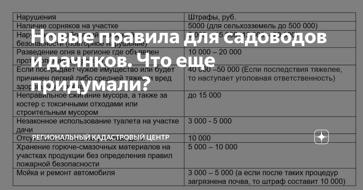 Новые правила для садоводов и дачнков. Что еще придумали ...