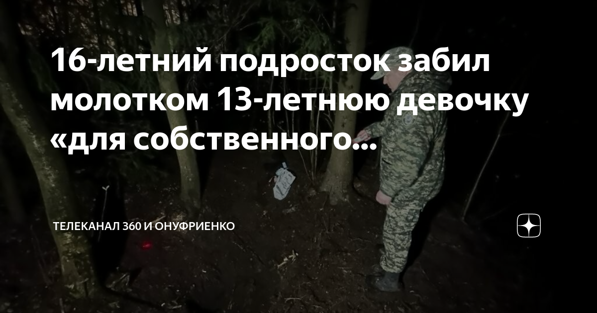 16 летний убил школьницу в питере. стример убивший девочку в спб. убийство в питере девушки. 15 летняя девочка. забил девочку молотком.