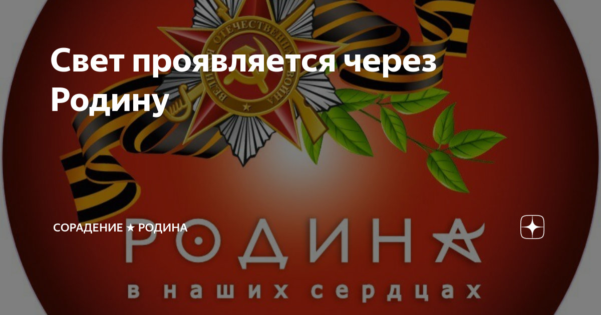 книга приема. книга отзывов и предложений. школа сорадение отзывы. старые книги макулатура. гарат сорадение.