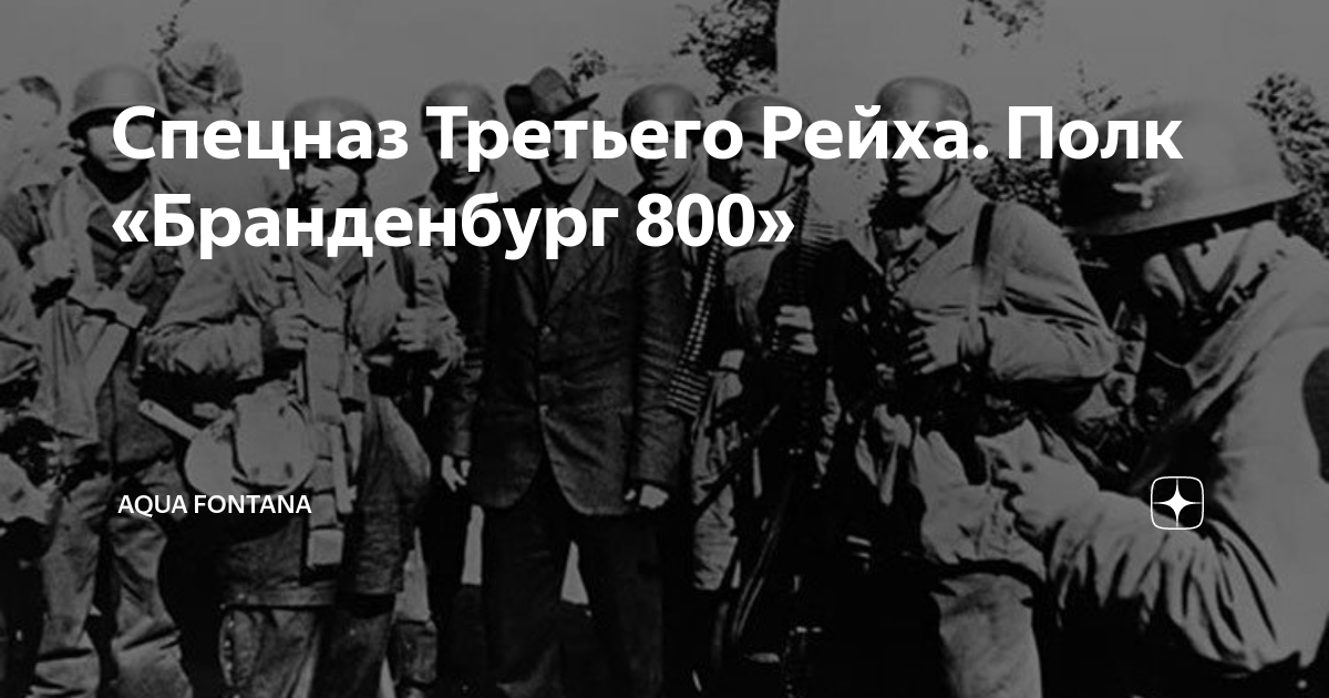 Учебный полк 800 бранденбург