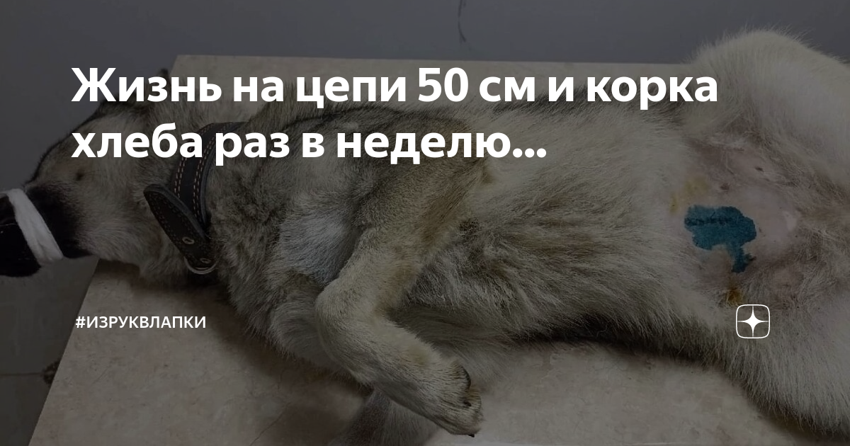 Цепь 50 см на мужчине фото