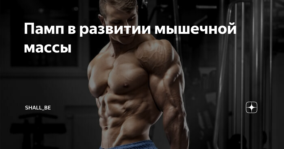 Памп в развитии мышечной массы | TheCreator | Дзен