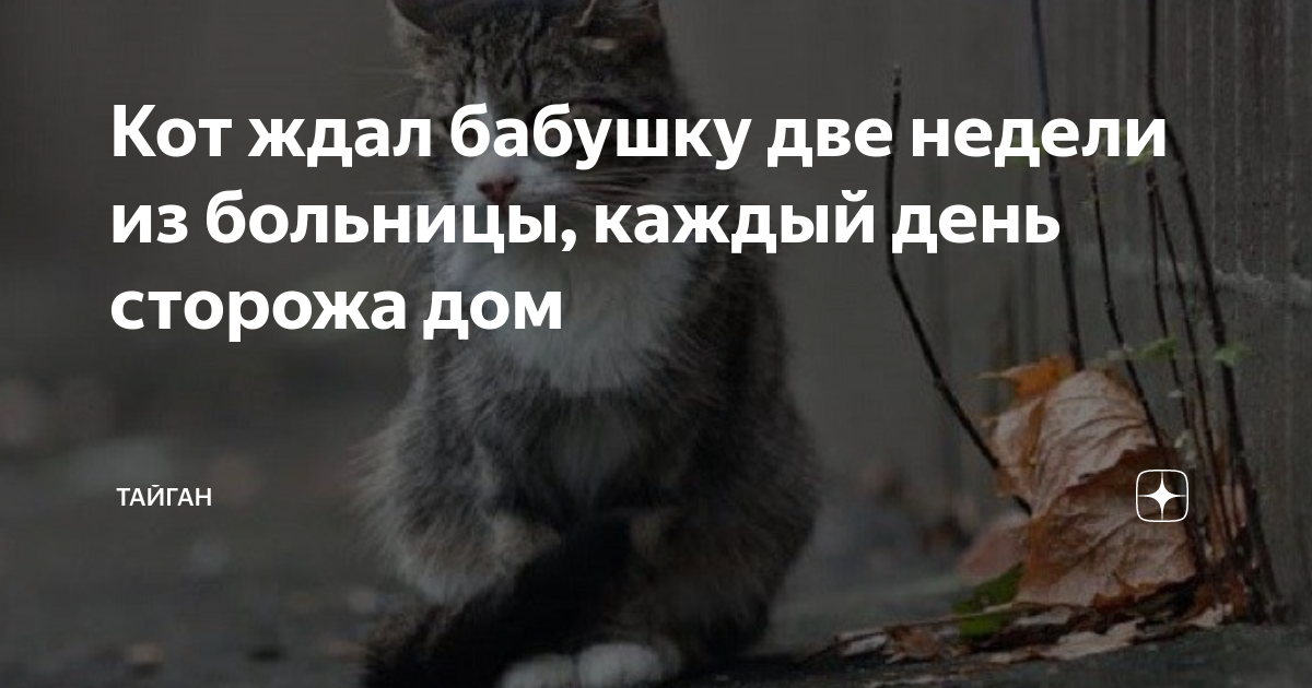 шутки про охрану. день сторожа. сторож. смешной музей. анекдот.