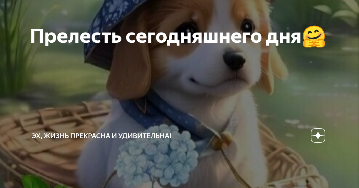 Эх жизнь