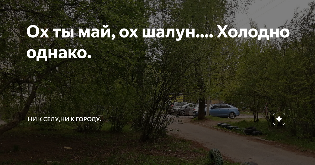 ну как ты там у меня столько новостей в городе холодно