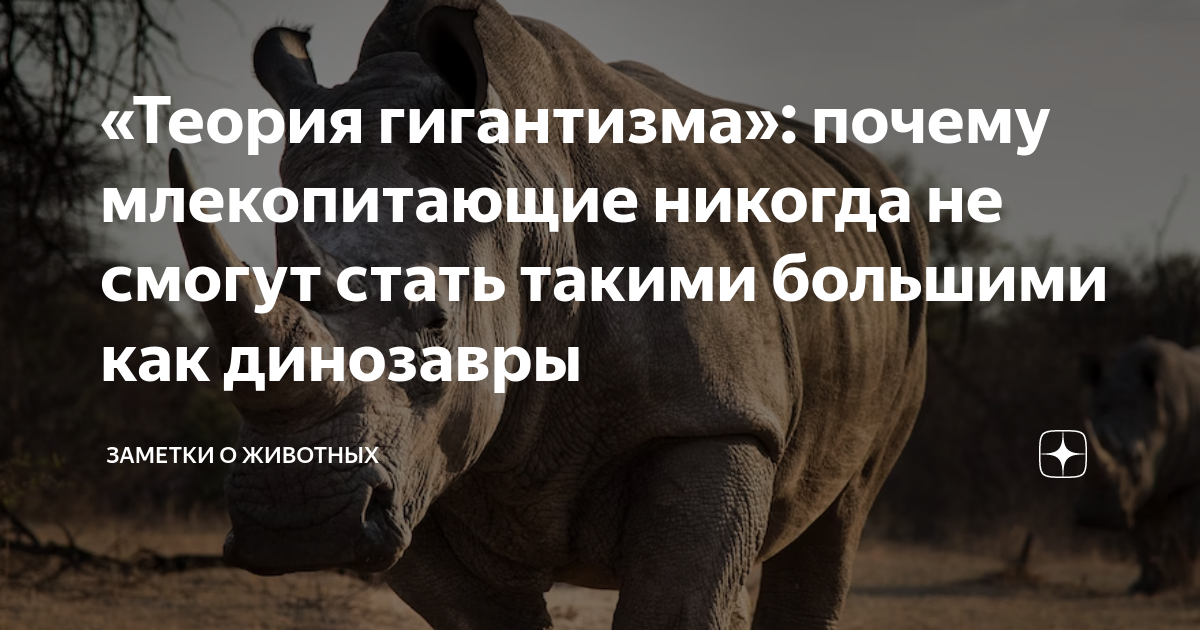«Теория гигантизма»: почему млекопитающие никогда не смогут стать ...
