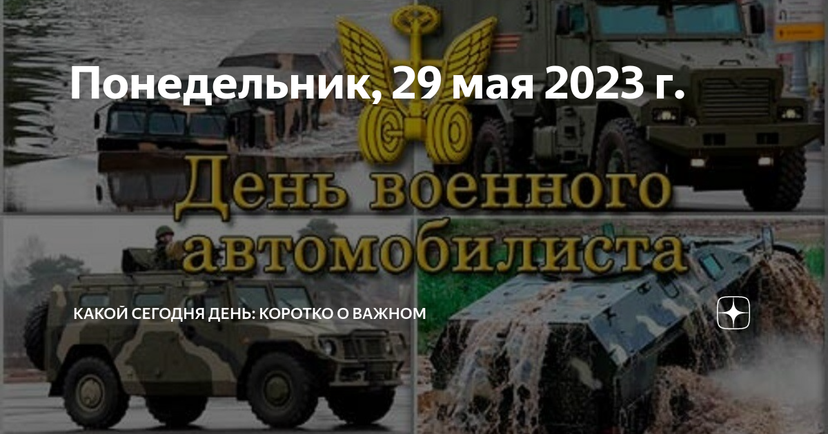 потери россии. дтп мокшан пензенская область. цифры 2023. трасса м5. 29 мая 2023.