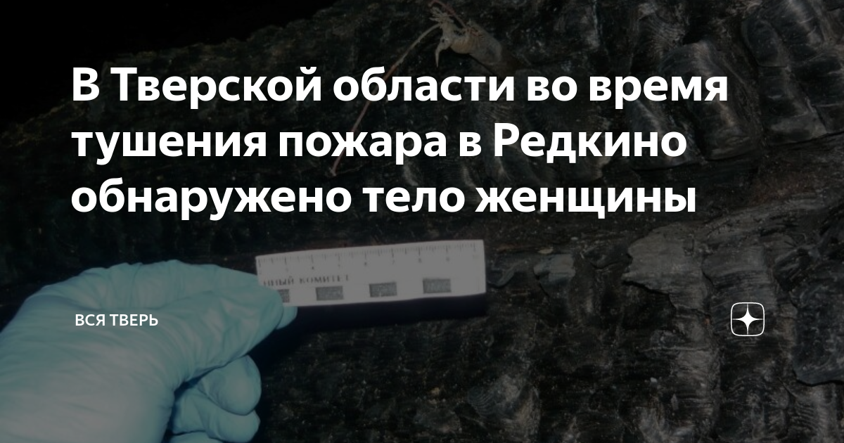 В Тверской области во время тушения пожара в Редкино обнаружено тело ...