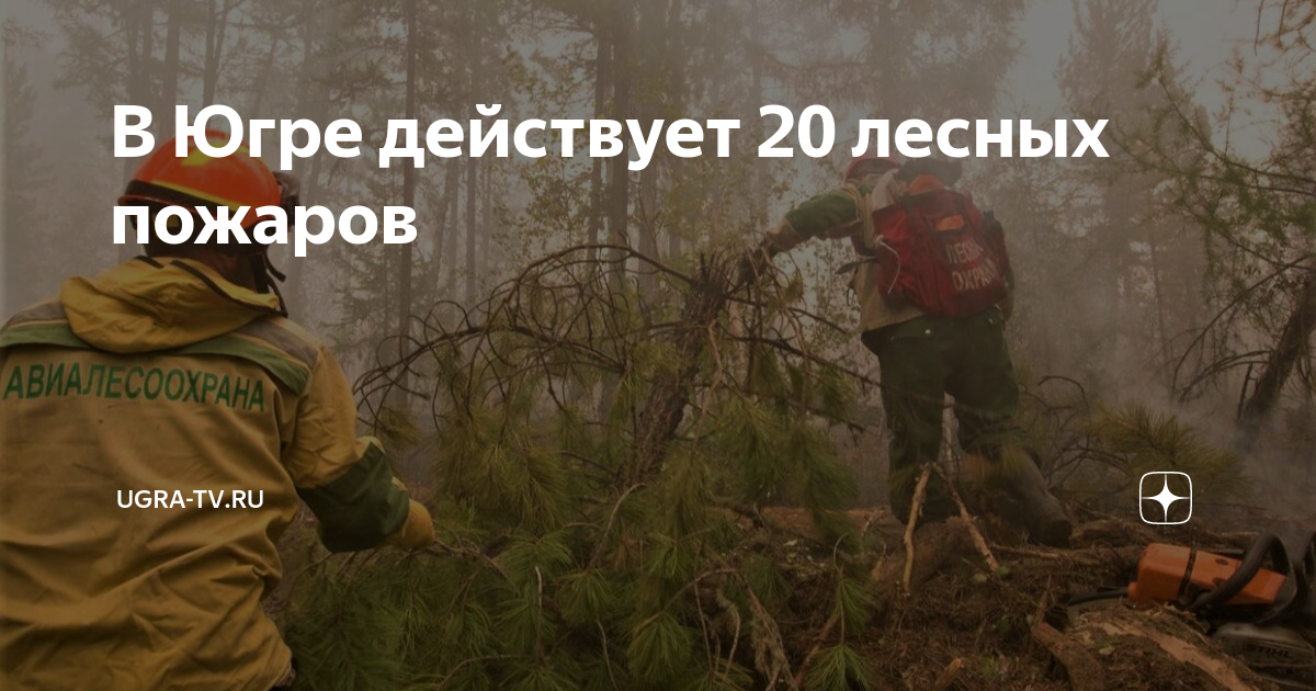 Действуй в югре. Лесные пожары. Леса Омской области. Ландшафтный пожар. Пожарники тушат лес.