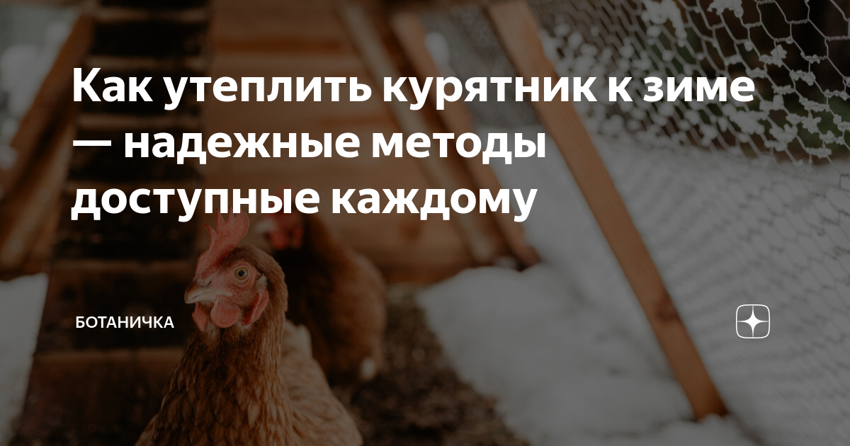 Как построить теплый курятник на зиму своими руками