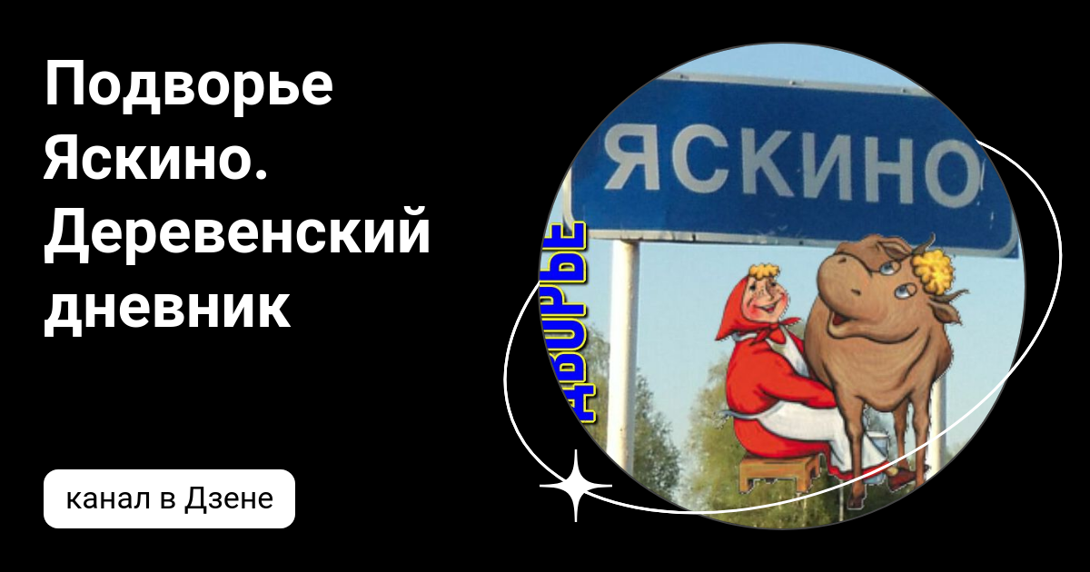 Деревенский дневник дзен