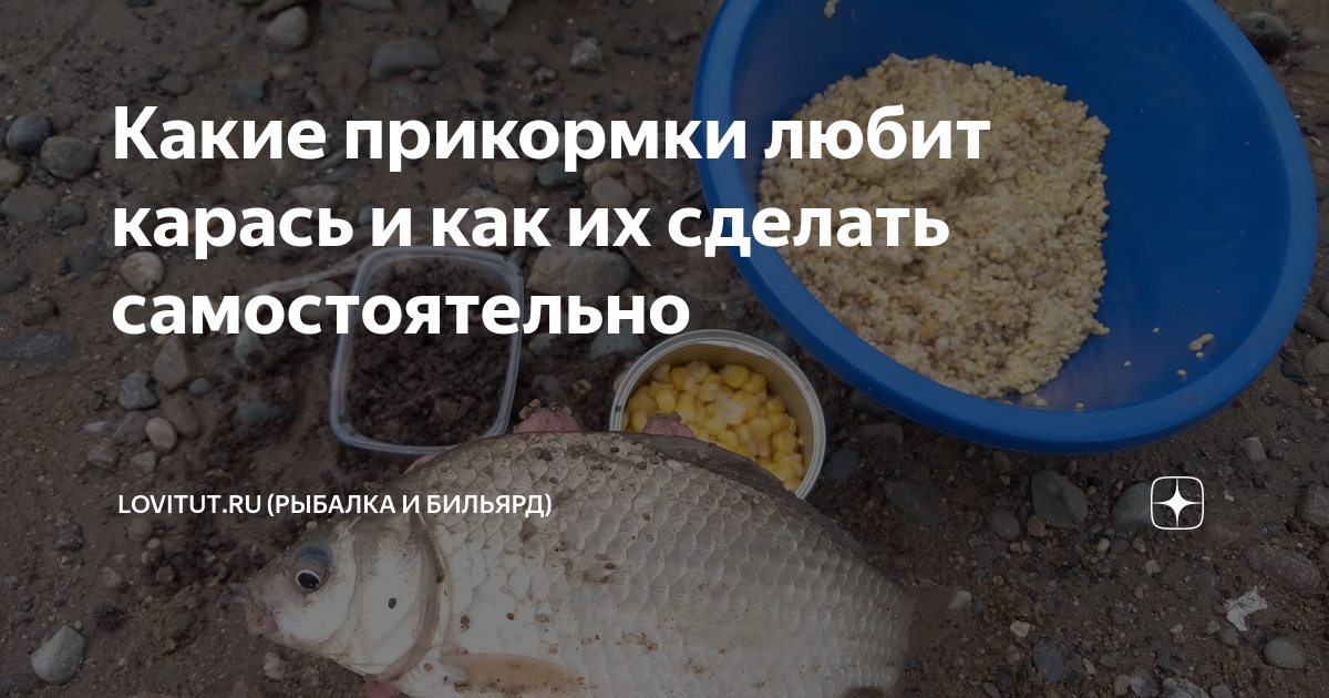 Лучшие приманки и наживки на сазана