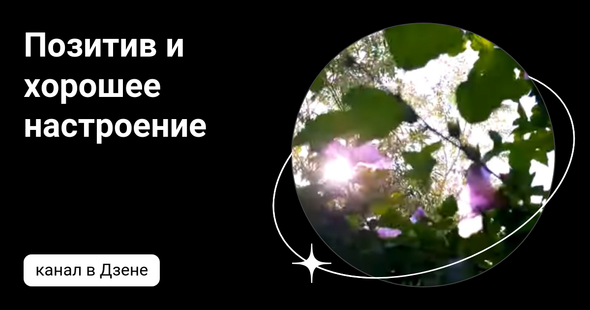 Позитив и хорошее настроение | Дзен