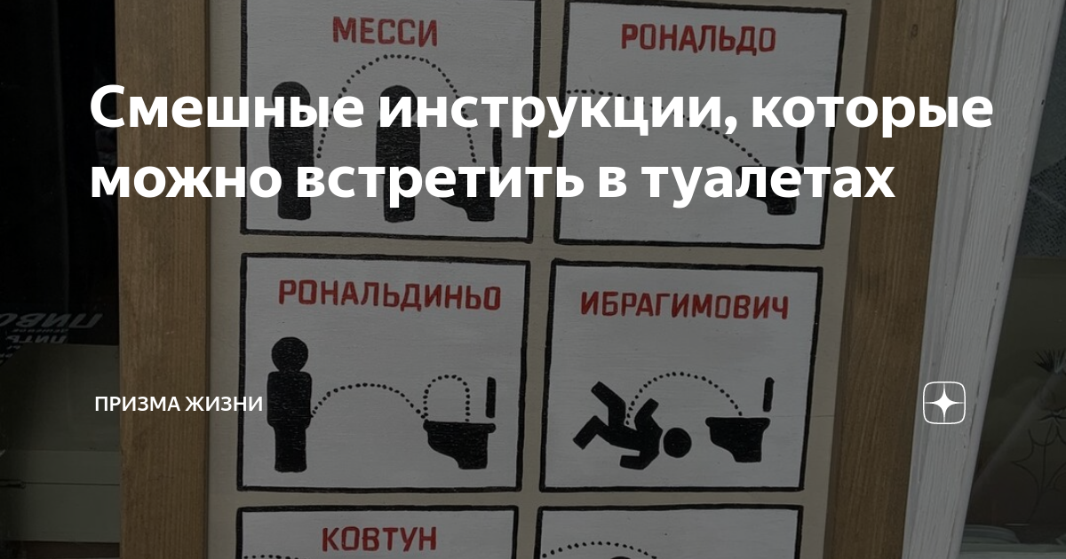 Наклейка на унитаз Прикольный кот купить по выгодной цене в интернет-магазине OZON ()