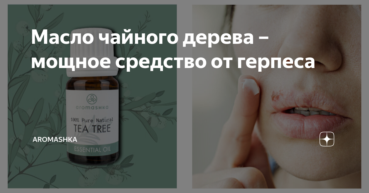 Пихта