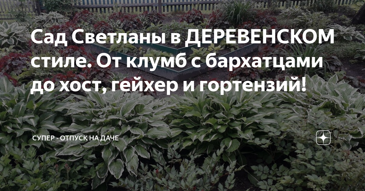 Сад Светланы в ДЕРЕВЕНСКОМ стиле. От клумб с бархатцами до хост, гейхер ...