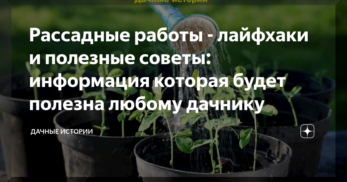 Рассадные работы - лайфхаки и полезные советы: информация которая будет ...