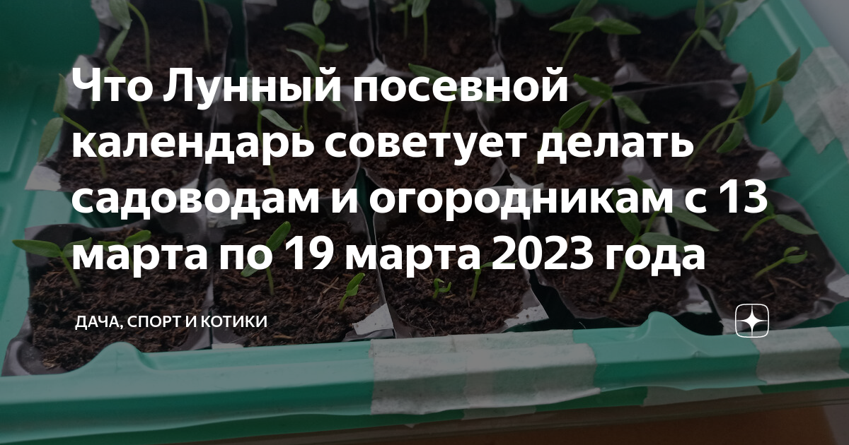 Неблагоприятные дни в марте 2024 г