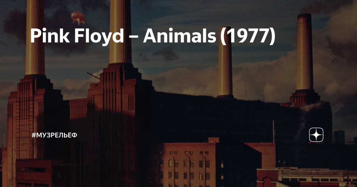 Pink Floyd – Animals (1977) | #музРельеф | Дзен