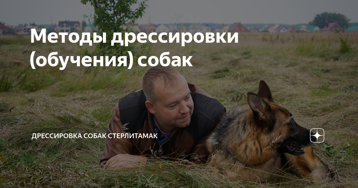 Методы дрессировки (обучения) собак | дрессировка собак Стерлитамак | Дзен