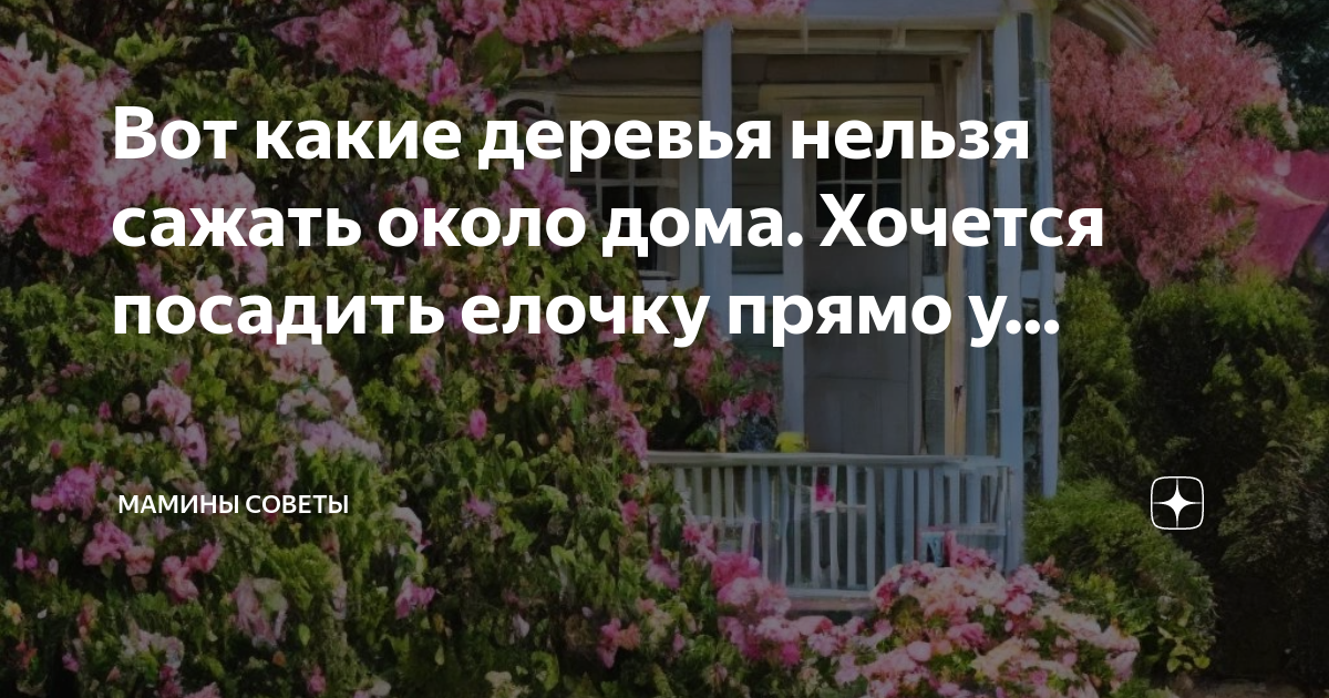 Какие дни в апреле нельзя сажать. Какие деревья нельзя сажать около дома. Деревья которые нельзя сажать рядом с домом. Деревья которые можно сажать возле дома. Какие деревья нельзя садить возле дома на участке