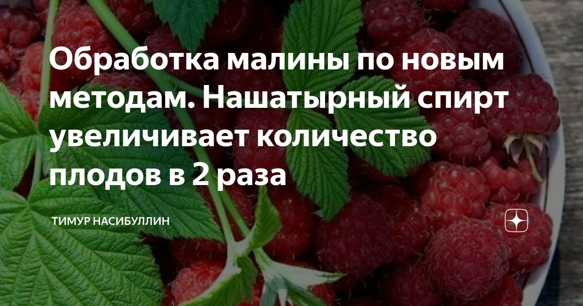 Обработка малины. Малина повышает температуру. Похороны на тему малины. Вселенной есть вкус. И это вкус малины.. Малина сладко и сейчас мы не только о ягоде.