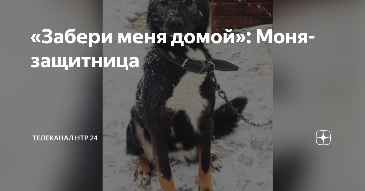 люся чеботина забери. забери меня домой музыка. люся чеботина забери меня. заберите меня домой. забери меня домой песня.