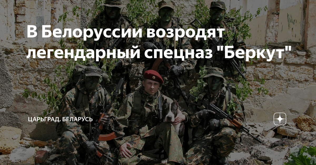 В Белоруссии возродят легендарный спецназ "Беркут" | Царьград ...