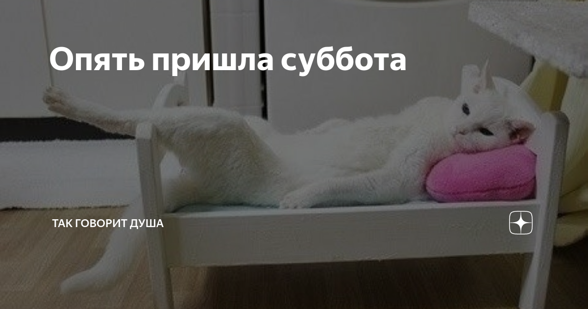И снова пятница. И я снова не приду. Открытки пришла с работы. Может настанет день но только не сегодня. Стихи в картинках.