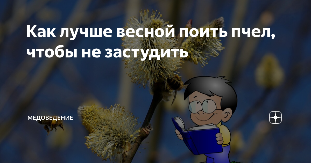 Как лучше весной поить пчел, чтобы не застудить | Медоведение | Дзен