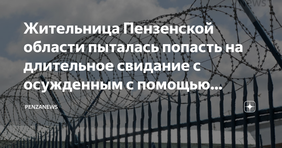 Жительница Пензенской области пыталась попасть на длительное свидание с ...