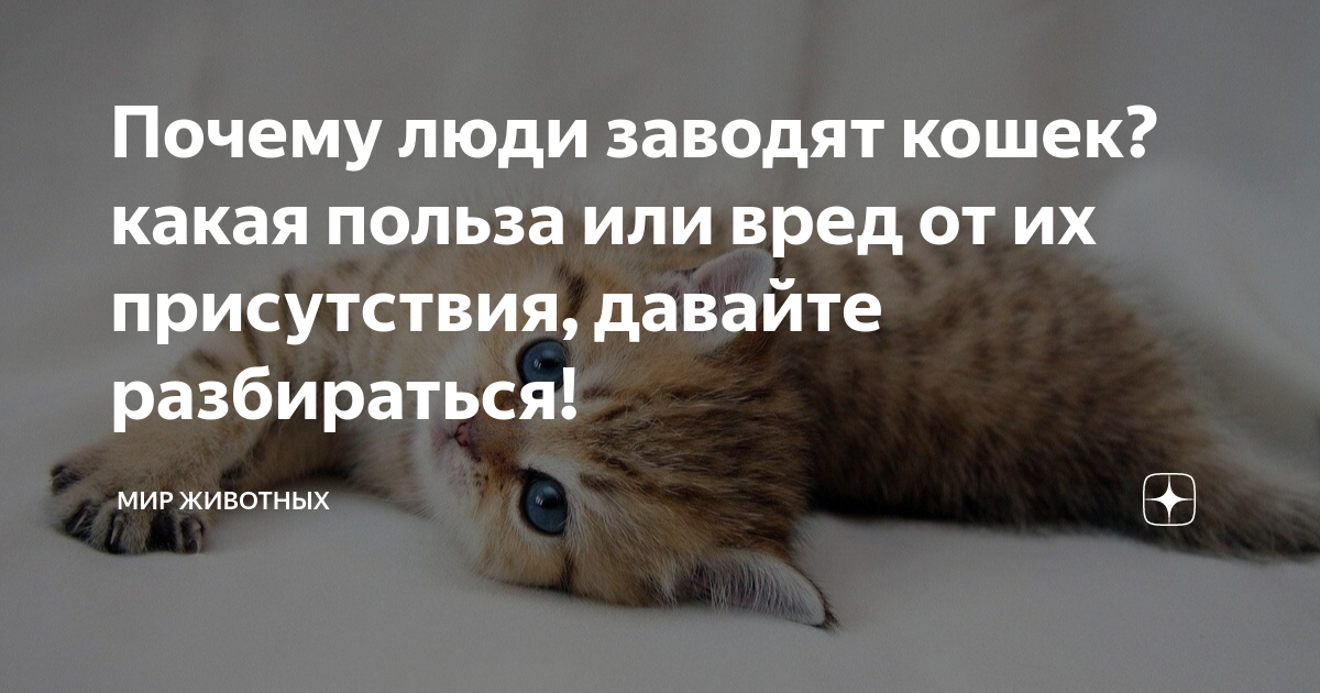 Снижение уровня одиночества и депрессии