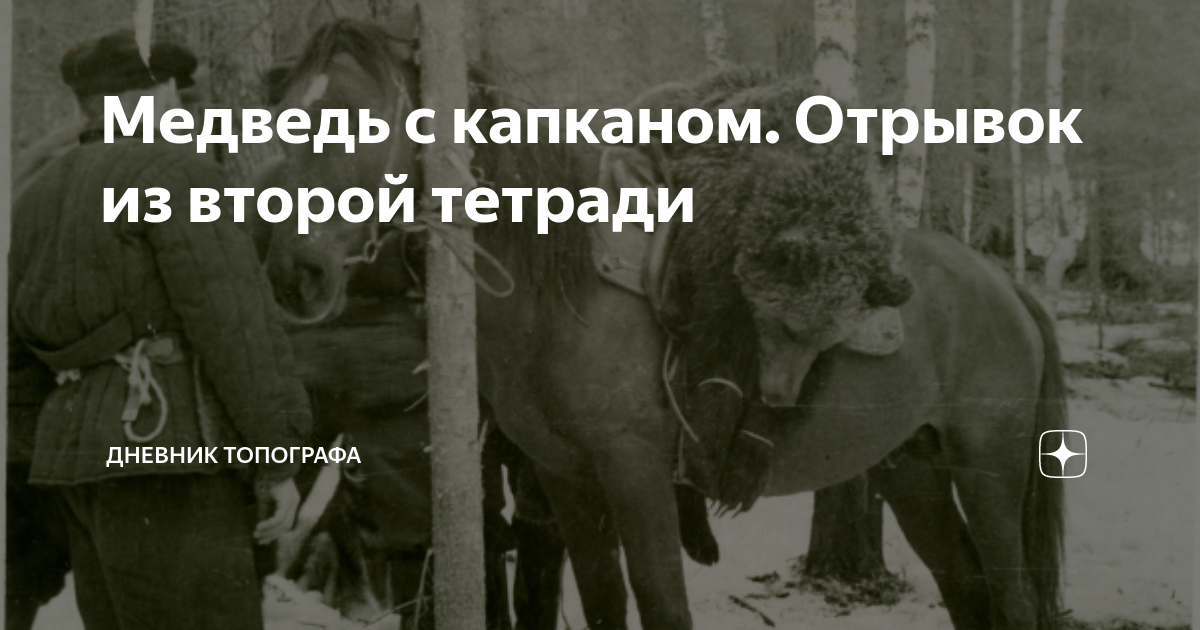 Король и шут сериал 4 серия. Русский медведь козел. Медведь аккорды. Ежик в тумане медведь. Шутки про медведя в россии.