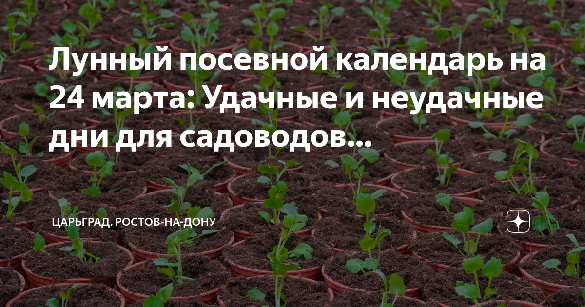 Рассада помидор. Рассада баклажан. Цветы на рассаду в марте. Благоприятные дни для посадки помидор.