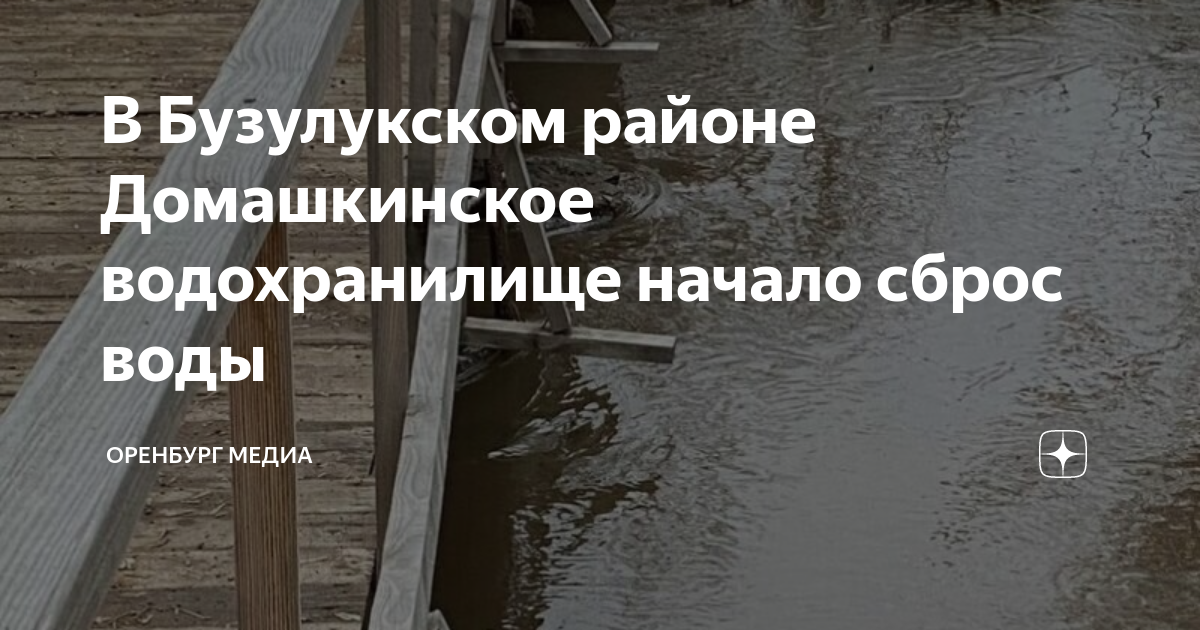 Бузулукские полицейские задержали шестерых рыбаков-браконьеров - Газета "Оренбур