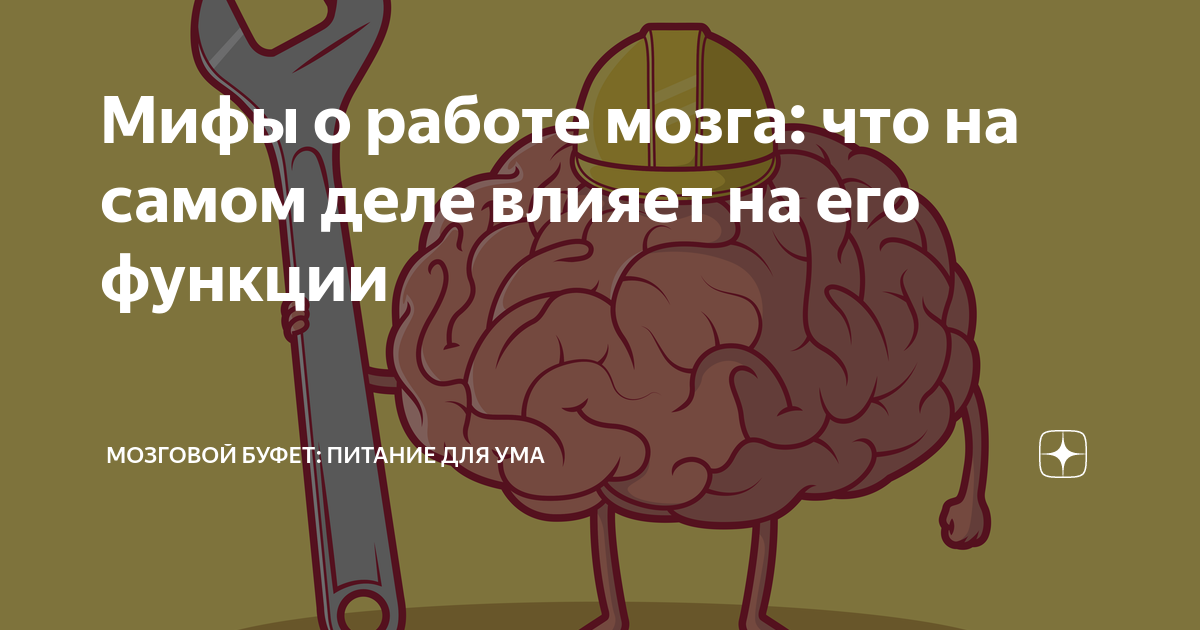 Какие хобби помогут развить и улучшить работу мозга? [Мода moda]