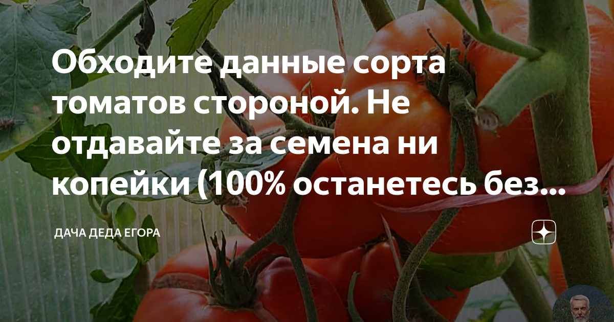 Оксимирон точка ком слэш не отдавайте за его тупой альбом кэш