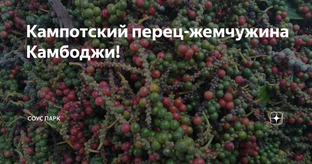 Кампотский перец-жемчужина Камбоджи! | Соус Парк | Дзен