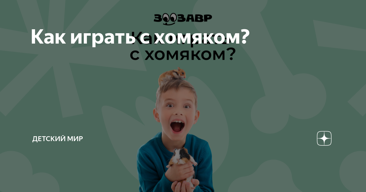 Как весело и безопасно играть с хомяком в домашних условиях